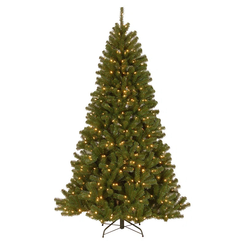 North Valley Spruce Tree with Clear Lights