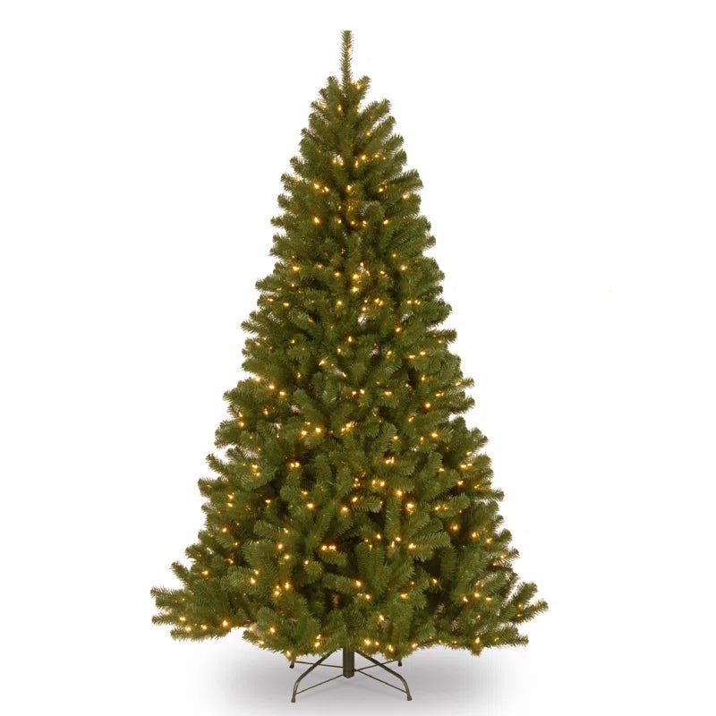 North Valley Spruce Tree with Clear Lights