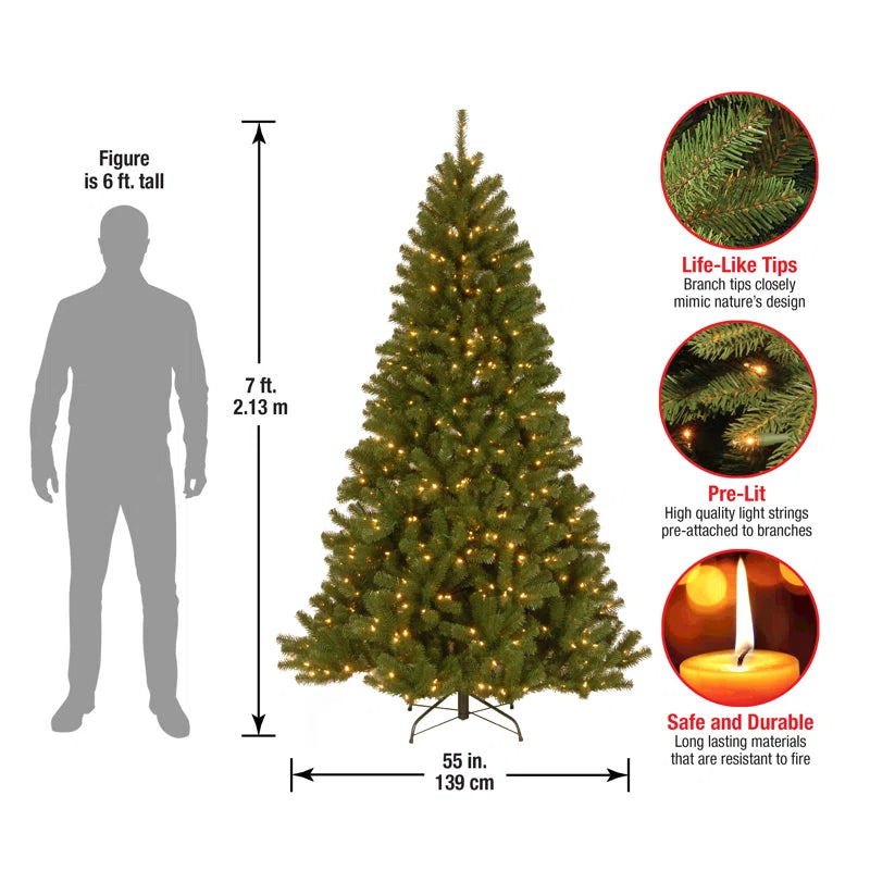 North Valley Spruce Tree with Clear Lights