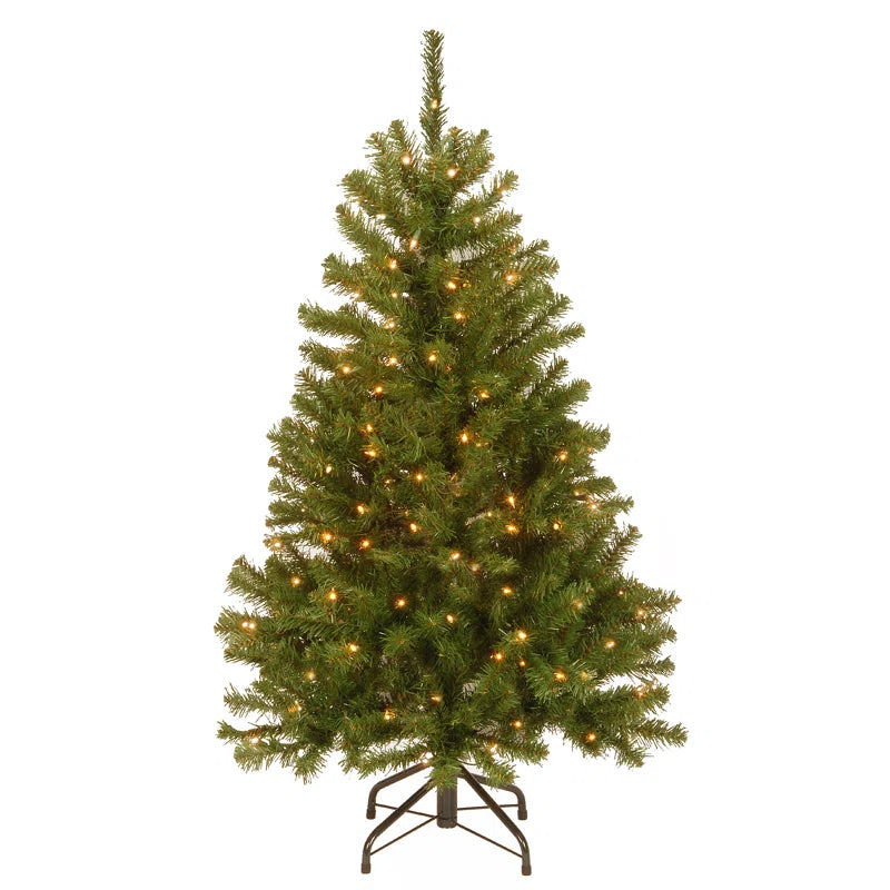 North Valley Spruce Tree with Clear Lights