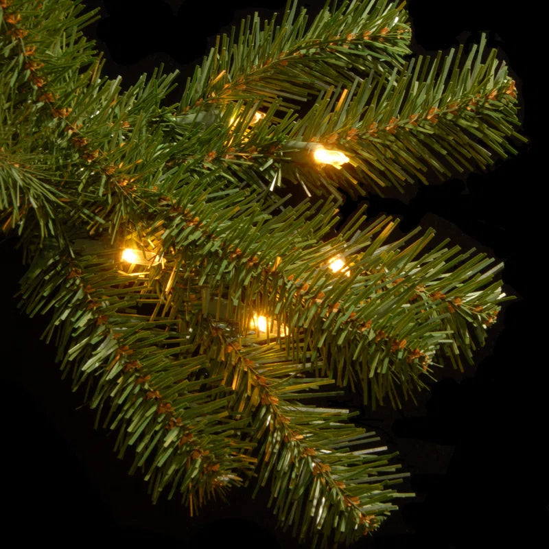 North Valley Spruce Tree with Clear Lights