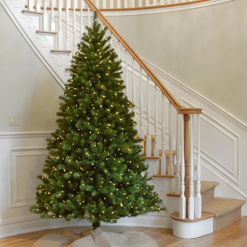 North Valley Spruce Tree with Clear Lights